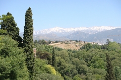 Granada1 (49)